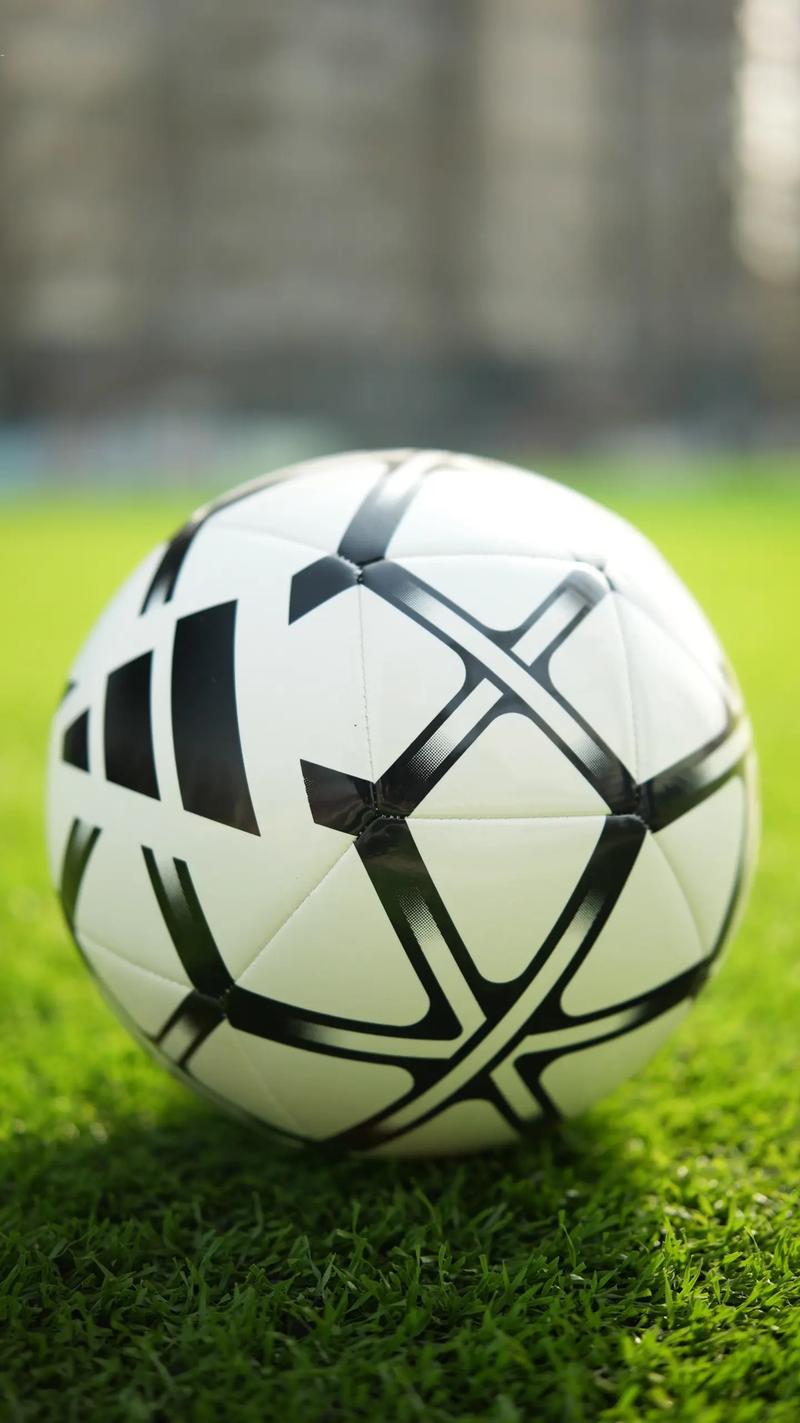 体育爱好者使用场景